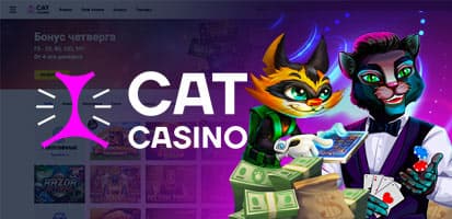 Обзор казино Cat